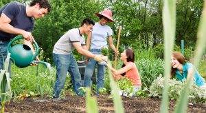 Best Qualities of a Good Neighborhood - Acoustic Considerations and Environmental Dynamics
