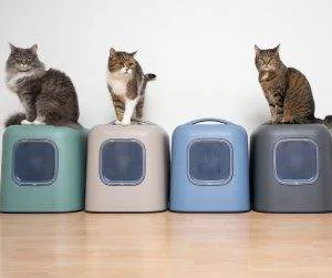 Pet-Friendly Features in Real Estate 